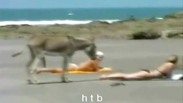 العاهرة فيكي يحصل هزة الجماع فيديو اجنبي جنس من آلة الجنس