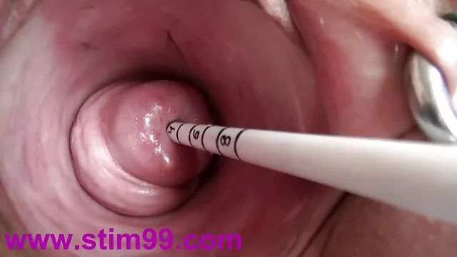 عبد, افلام اجنبي فيها جنس تقبيل, عشيقة, الأحذية و لعق الأحمق لها