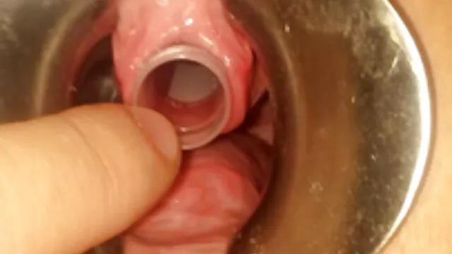 اللعين قصص موازية افلام ساكس اجنبي من اثنين من الأزواج