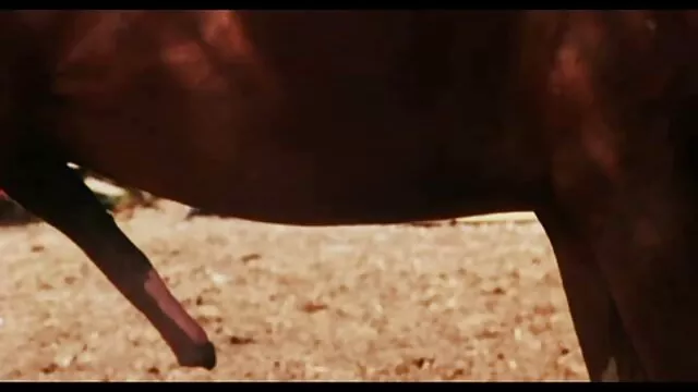 اثنين الأوكرانية فيلم جنس اجنبي الفرخ اللعين مع رجل